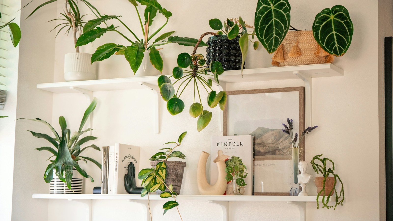Two white wall shelves holding several houseplants, books, and small decor in daylight