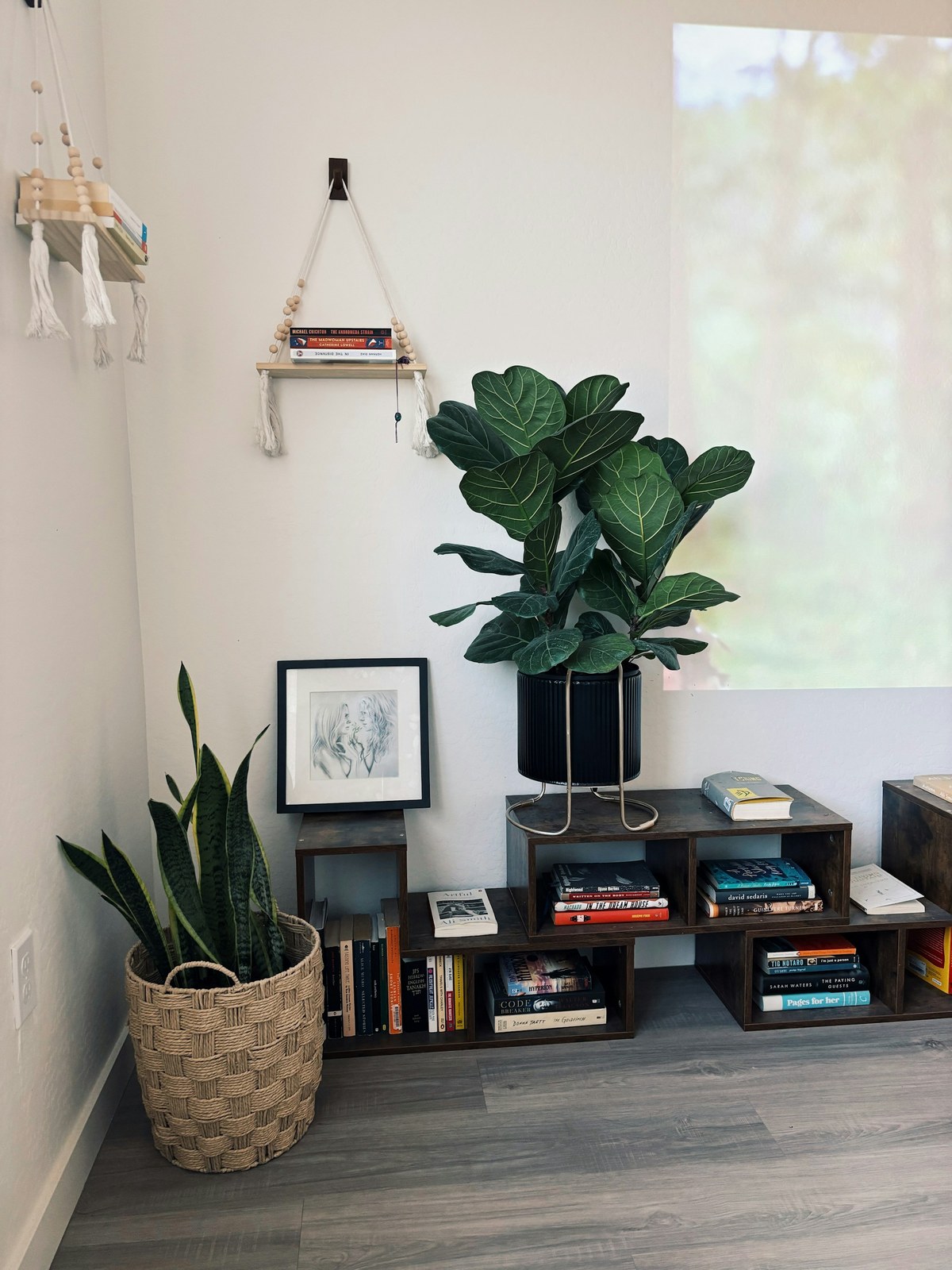 Low bookshelf with a tall leafy plant on top and an upright plant in a woven basket beside a bright window